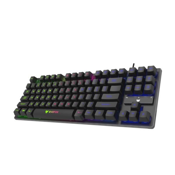 EvoFox Fireblade TKL Semi-Mechanical Gaming Keyboard with Rainbow Backlit& Breathing Effect, Floating Keycaps, 19 Anti-Ghosting & 12 Multimedia Keys, Windows Lock Key, Braided Cable (Black)